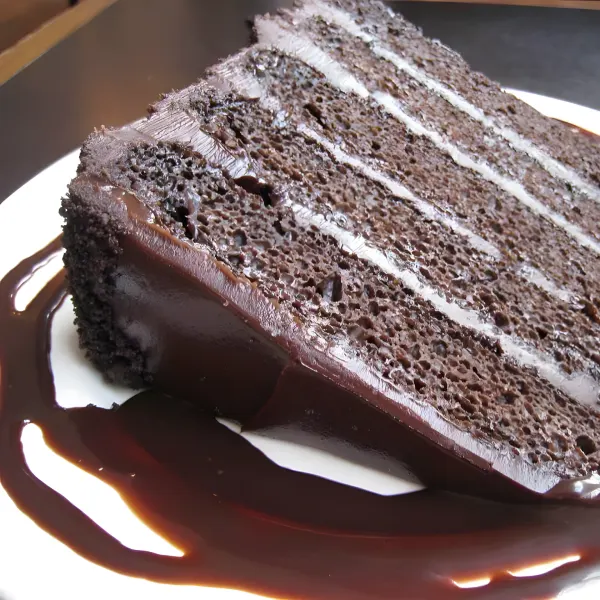A slice of layered chocolate cake with chocolate sauce